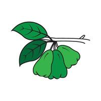guava icon design vector