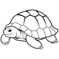 Angulate Tortoise turtle rests icon illustration vector