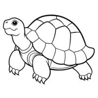 Angulate Tortoise turtle sits icon illustration vector