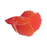 betta fish icon vector