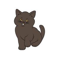 cat icon design vector