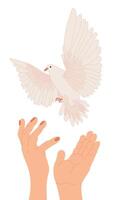 Hands with dove of peace in flat style. . The white bird flies up. The concept of hope, a sign of freedom and independence, a manifestation of the holy spirit. vector
