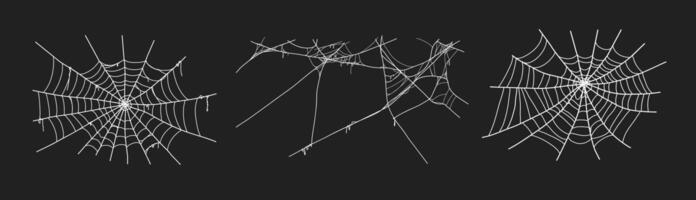 Spooky halloween old spider web with various sizes and shapes. Old cobweb set illustration. vector