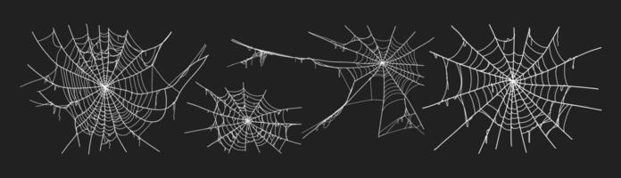 Spooky halloween old spider web with various sizes and shapes. Old cobweb set illustration. vector