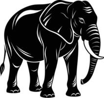 An elephant is standing in front of a white background vector