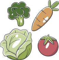 the fresh vegetable vector