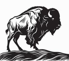 Illustrator artwork of a buffalo on desert. vector
