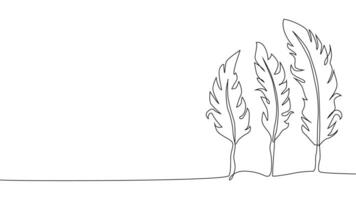 Self-drawing of continuous drawing of one line of an isolated object feather vector