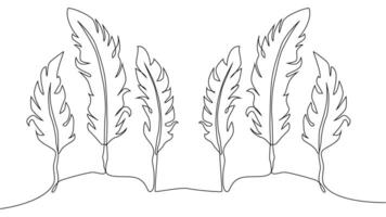 Self-drawing of continuous drawing of one line of an isolated object feather vector