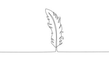 Self-drawing of continuous drawing of one line of an isolated object feather vector