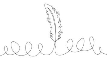 Self-drawing of continuous drawing of one line of an isolated object feather vector