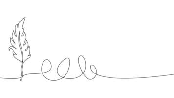 Self-drawing of continuous drawing of one line of an isolated object feather vector