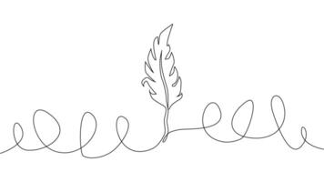 Self-drawing of continuous drawing of one line of an isolated object feather vector