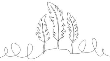 Self-drawing of continuous drawing of one line of an isolated object feather vector