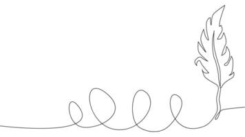 Self-drawing of continuous drawing of one line of an isolated object feather vector