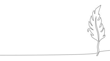 Self-drawing of continuous drawing of one line of an isolated object feather vector