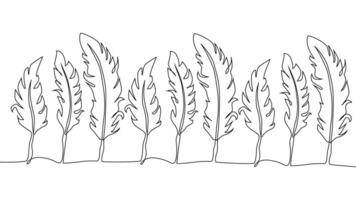 Self-drawing of continuous drawing of one line of an isolated object feather vector