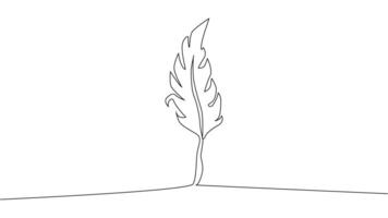 Self-drawing of continuous drawing of one line of an isolated object feather vector