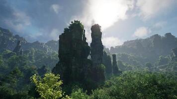 A dense forest with towering rocks and majestic trees video