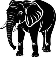 An elephant is standing in front of a white background vector