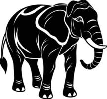 An elephant is standing in front of a white background vector