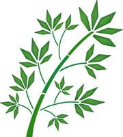 Green bamboo tree branch with leaves, isolated on white. vector