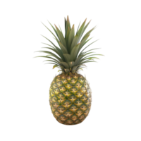 A Pineapple On a Transparent Background png