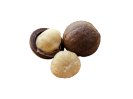 three macadamia nuts. One nut is whole, another is cracked open showing the kernel, and the third is out of its shell. on transparent background png