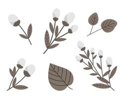 Set of cotton twigs and leaves on a white background. Decor elements vector