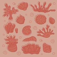 Set with corals and shells. Doodles clip art in pastel colors. vector