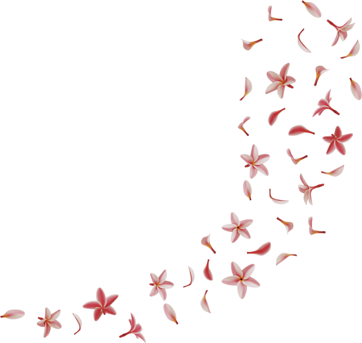 Falling Flowers PNGs for Free Download
