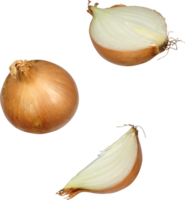 falling onion slice png