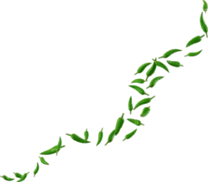 falling green chilli png
