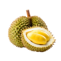 durian fruit on a transparent background png