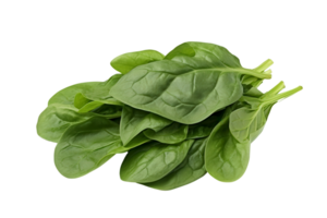 spinach leaf on transparency Background png