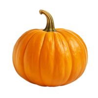 pumpkin orange pumpkin on transparent background png