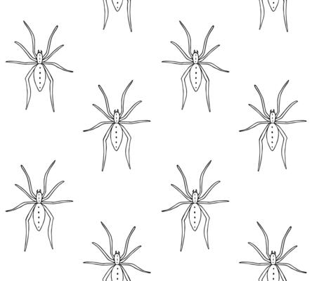 Seamless pattern of hand drawn spider