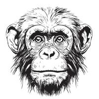 Monkey face sketch hand drawn in doodle style illustration vector