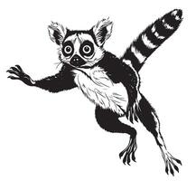 Lemur jumping sketch vector