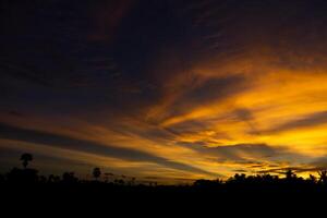 Twilight sky with multicolor cloud with silhouette forest. photo