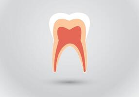 A tooth structure for medical vector