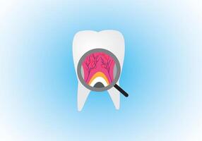 A Tooth with magnifying glass vector