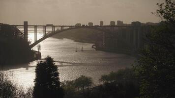 The view of Jardins do Palacio de Cristal at sunset, with the Douro River and Ponte da Arrabida Bridge in Porto in the background. video