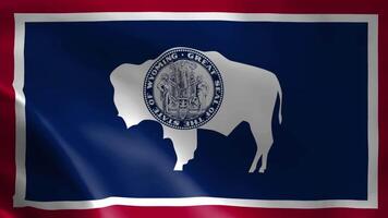 Wyoming flag in the wind. Detailed fabric texture. video