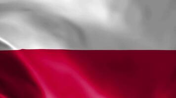 Flag of Poland in the wind. Detailed fabric texture. video
