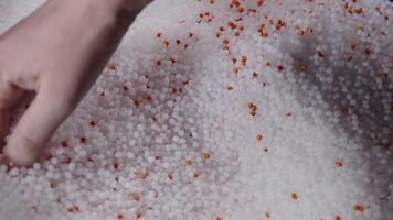 A woman mixes plastic granules with orange pigment to create colored plastic. Polymer composites are used in industry as raw materials for the production of various products video