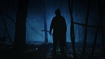 A lonely and frightening figure of a witcher in a dark forest at night. A man in a dark robe with a hood, a creature from the other world. video