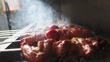 Chicken, meat and liver kebabs are fried on an open grill with charcoal video