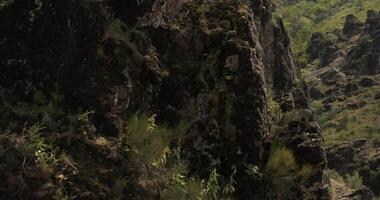 Tashent, Uzbekistan - 4 11 2022. A drone flies around a young athletic female climber hanging on one arm on a belay on a steep cliff video