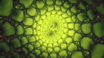 Fractal sequence patterns 3D. Beautiful bright ornament. video